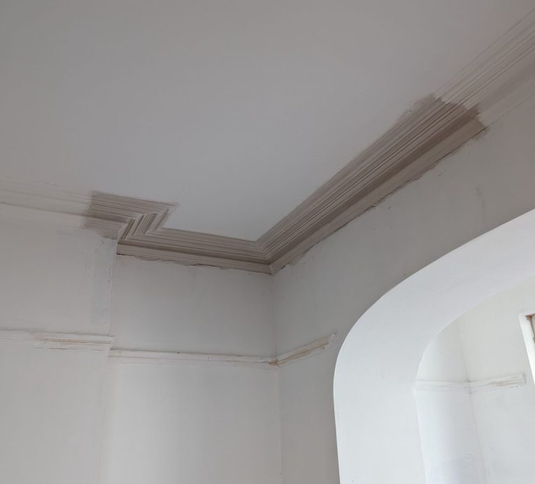 Cornice Repair Llanelli